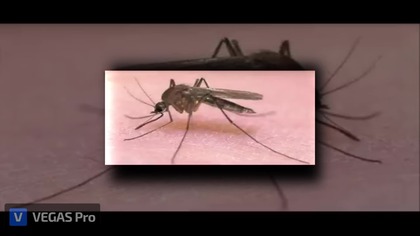 (YTPMV) Piosenka o komarze xD Scan Act II