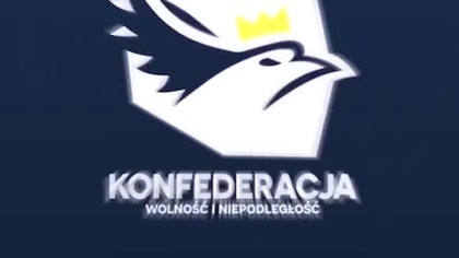 Grzegorz Braun w  mp4 686x432