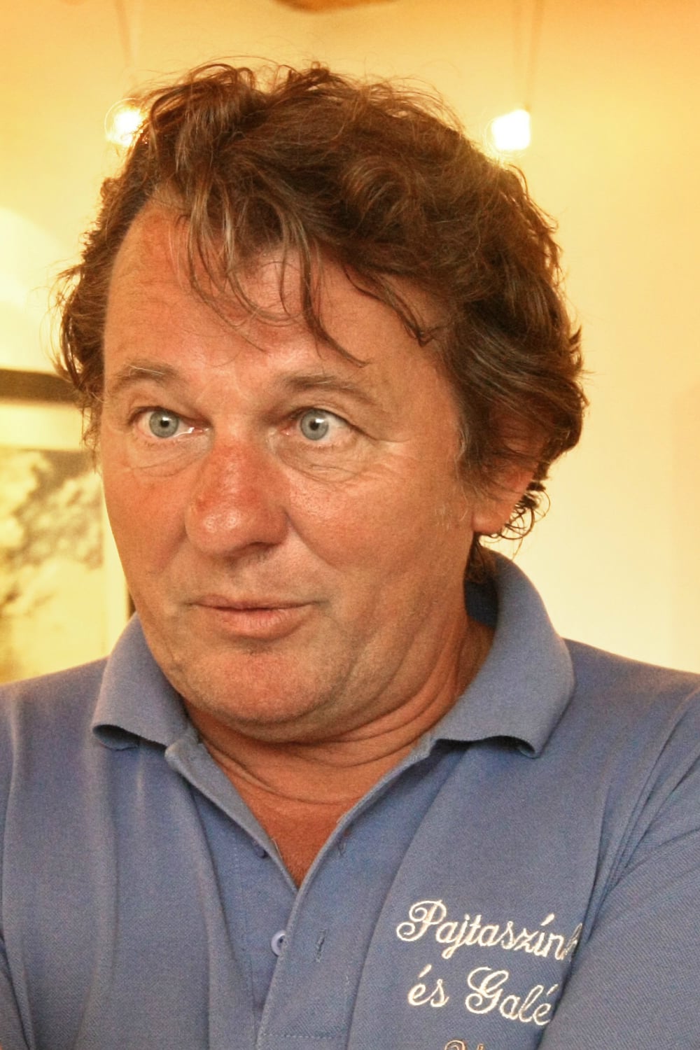 Szarvas József