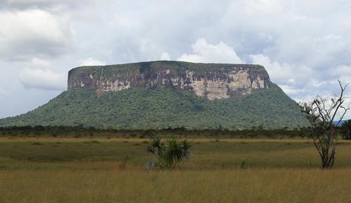 Ekstremalne wyzwanie Stevea Backshalla