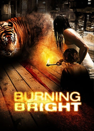 Błysk / Burning bright (2010)