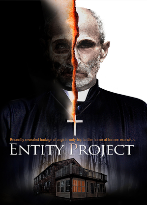Entity Project (2019)