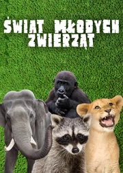 Świat młodych zwierząt Odcinek 1