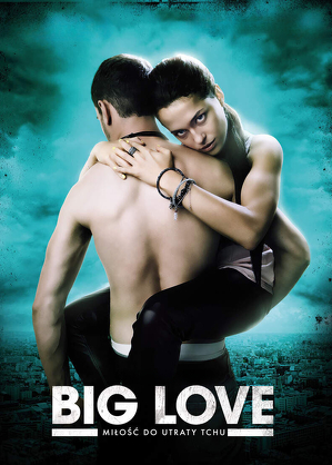 Big love (2012)