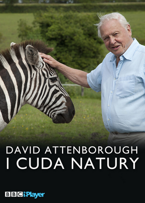 David Attenborough i cuda natury - program online