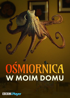 Ośmiornica w moim domu S01E01 / The octopus in my house