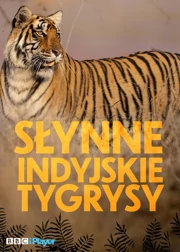 Słynne indyjskie tygrysy S01E01 Lektor PL