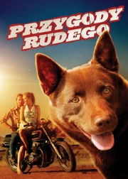 Przygody Rudego (2011) Lektor PL
