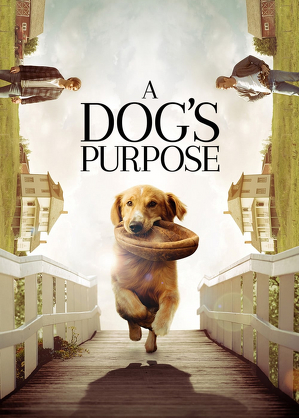 Był sobie pies / A dog's purpose (2017)