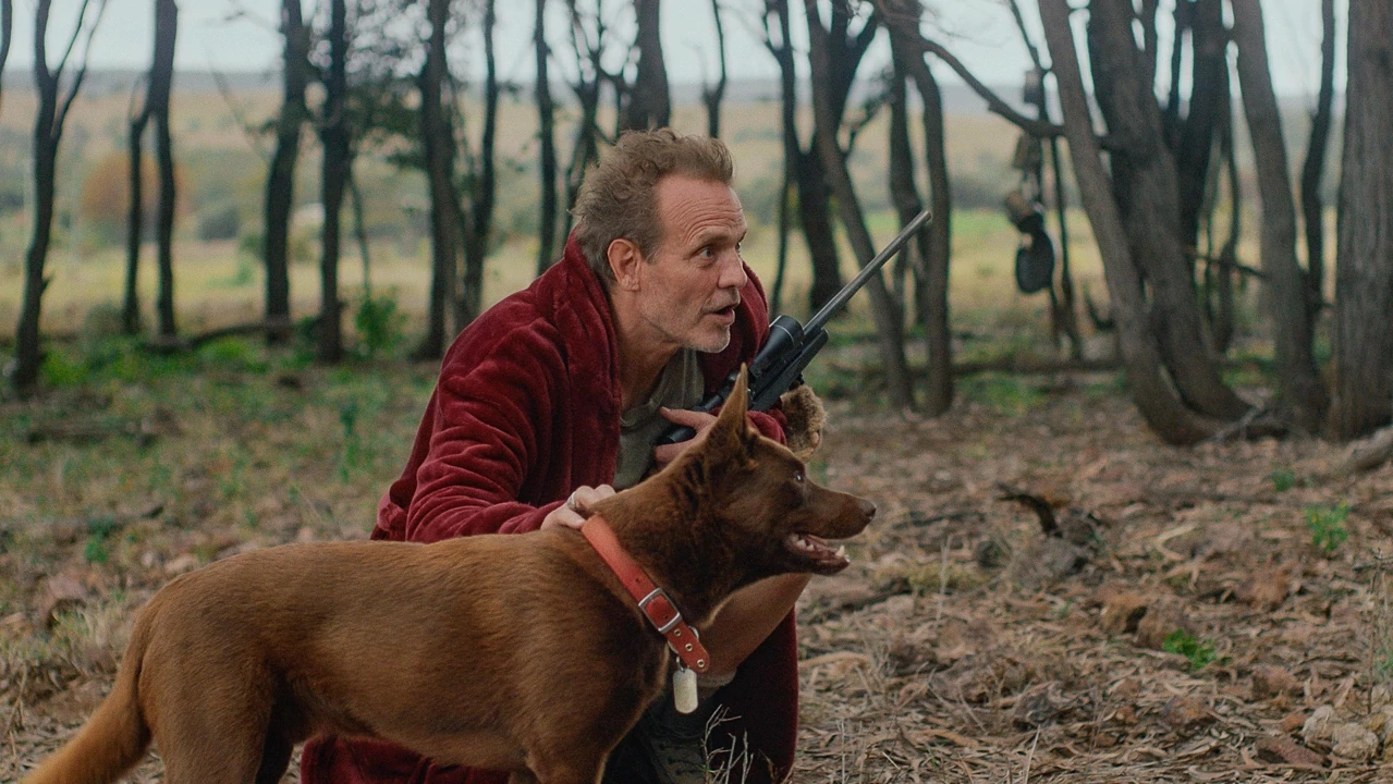 Rippy (2024) Lektor PL