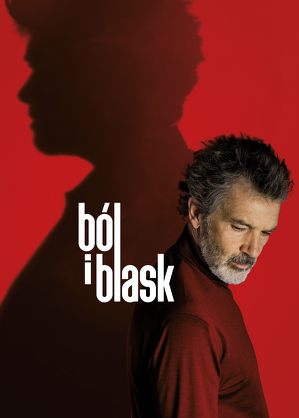 B&oacute;l i blask / Dolor y gloria (2019)