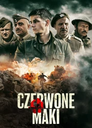 Czerwone maki (2024) Cały film PL