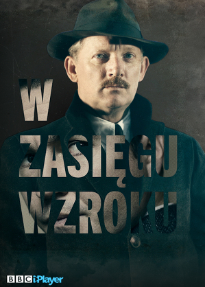 W zasięgu wzroku - serial online / In plain sight