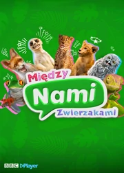 Między nami zwierzakami S01E06 Dubbing PL