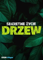 Sekretne życie drzew S01E03 Lektor PL