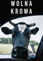 Wolna krowa (2023) Cały film PL
