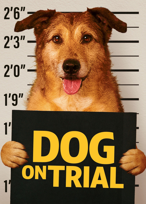 Pies przed sądem / Dog on trial (2024)