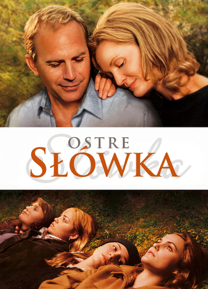 Ostre sł&oacute;wka / The upside of anger (2005)