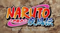 Naruto Shippuuden 253 lektor pl