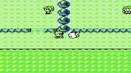 Pokemon Yellow - Walkthrough - [HD] - Part 4 - Route 3