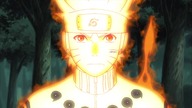 Naruto Shippuuden 315 lektor pl