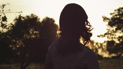 W Dżungli 2013 lektor pl