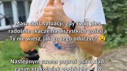 Jak oduczyć psa skakania na gości?  #Czworonogi #PsieZachowanie #Oduczanie