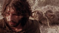 Pasja. The. Passion. Of. The. Christ. 2004. THEATRICAL. MULTi. 1080p. BluRay. x264. DTS. AC3-DENDA