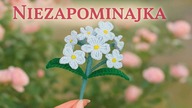 Jak zrobić szydełkową niezapominajkę  Piękny kwiat DIY krok po kroku #605 PL/ENG