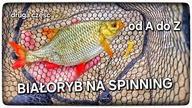 Od A do Z // BIAŁORYB NA SPINNING // druga część // 2025