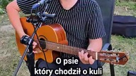 Scooby pozdrawiaO psie których chodził po kuli... nie jeździł jeszcze koleją #pies #piosenkaautorska