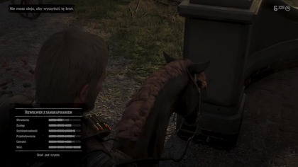 Red Dead Redemption 2 - PRO #