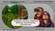 Protest branży Drzewnej - NIE ROZMAWIAĆ
