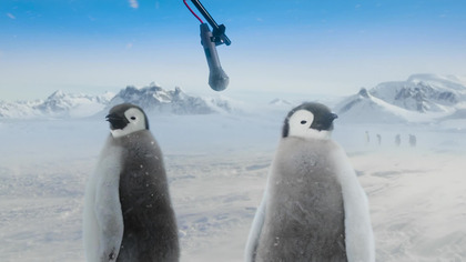 Między nami zwierzakami S01E07 Dubbing PL