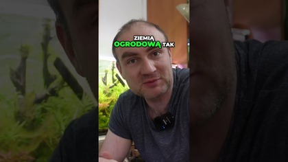 Ziemia w akwarium a glony ??  #akwarium #akwarystyka