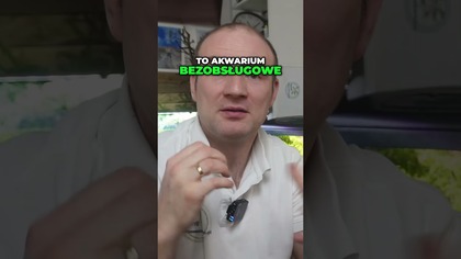  W końcu wygląda tak, jak chciałem! Akwarium 200L.   #akwarium #akwarystyka