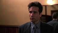 The. X-Files. S01E02. Deep. Throat. MULTi. 1080p. BluRay. x264-Lektor PL