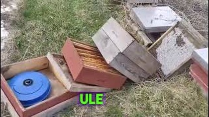 Kolejne zdewastowane ule  tym razem na Pieczyskach w Jaworznie - film nadesłany