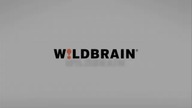WildBrain Spark Logo History