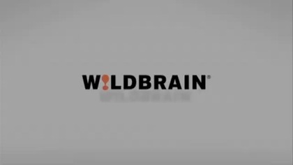 WildBrain Spark Logo History