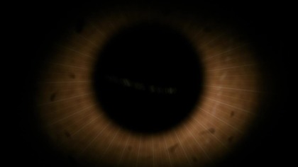 1956 The Black Sleep - WEB-Rip NapisyPL