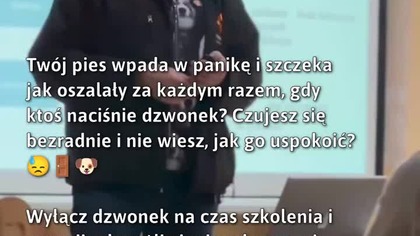 Jak uspokoić psa w panicznych sytuacjach?  
#Psy #SzkoleniePsów #Odwrażliwianie