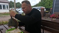 Grzybowo i rozciapany dorsz - Wróciłem do Dzwirzyna zjeść ogromnego Turbota / Oddaszfartucha