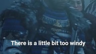 #ghostoftsushima #windy #gaming
