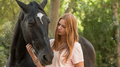 Wicher 3 - dzikie konie (2017) Lektor PL