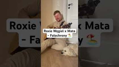 @RoxieWegielTV x @33mata - Falochrony  #cover #acoustic