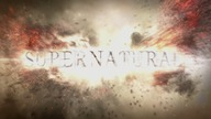 Supernatural (2005) - S09E13 - The Purge (1080p BluRay x265 Silence) bez lektora i napisów