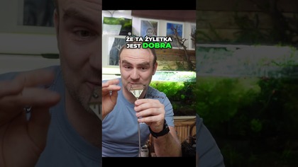 Czy skrobak rysuje szybę