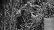 King Kong (1933) [ENG]