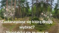 Kontakt telefoniczny lub WhatsApp 785 684 984 e-mail katkro28@wp.pl
